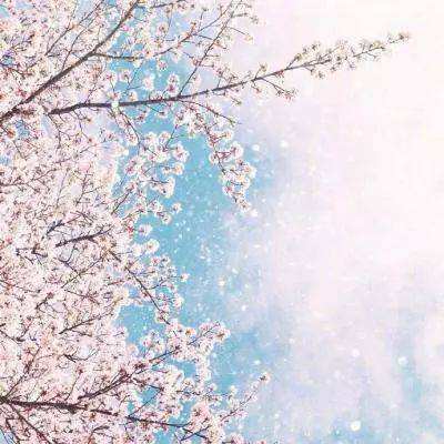 星空下载app下载